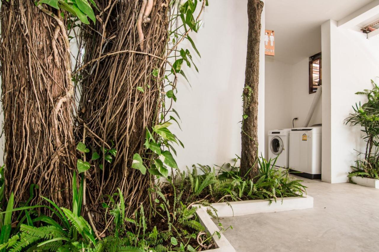 Whalecome Aonang Resort-Sha Extra Plus Ao Nang Exterior photo